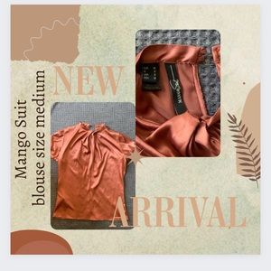 Dusty Rose Colored Blouse - medium